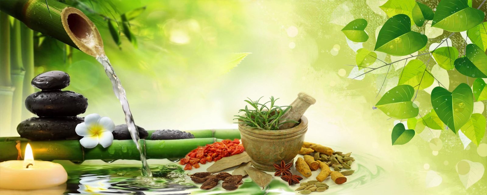 Ayurvedic Medicines for Fissures
